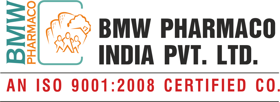 Bmw india pvt ltd corporate office